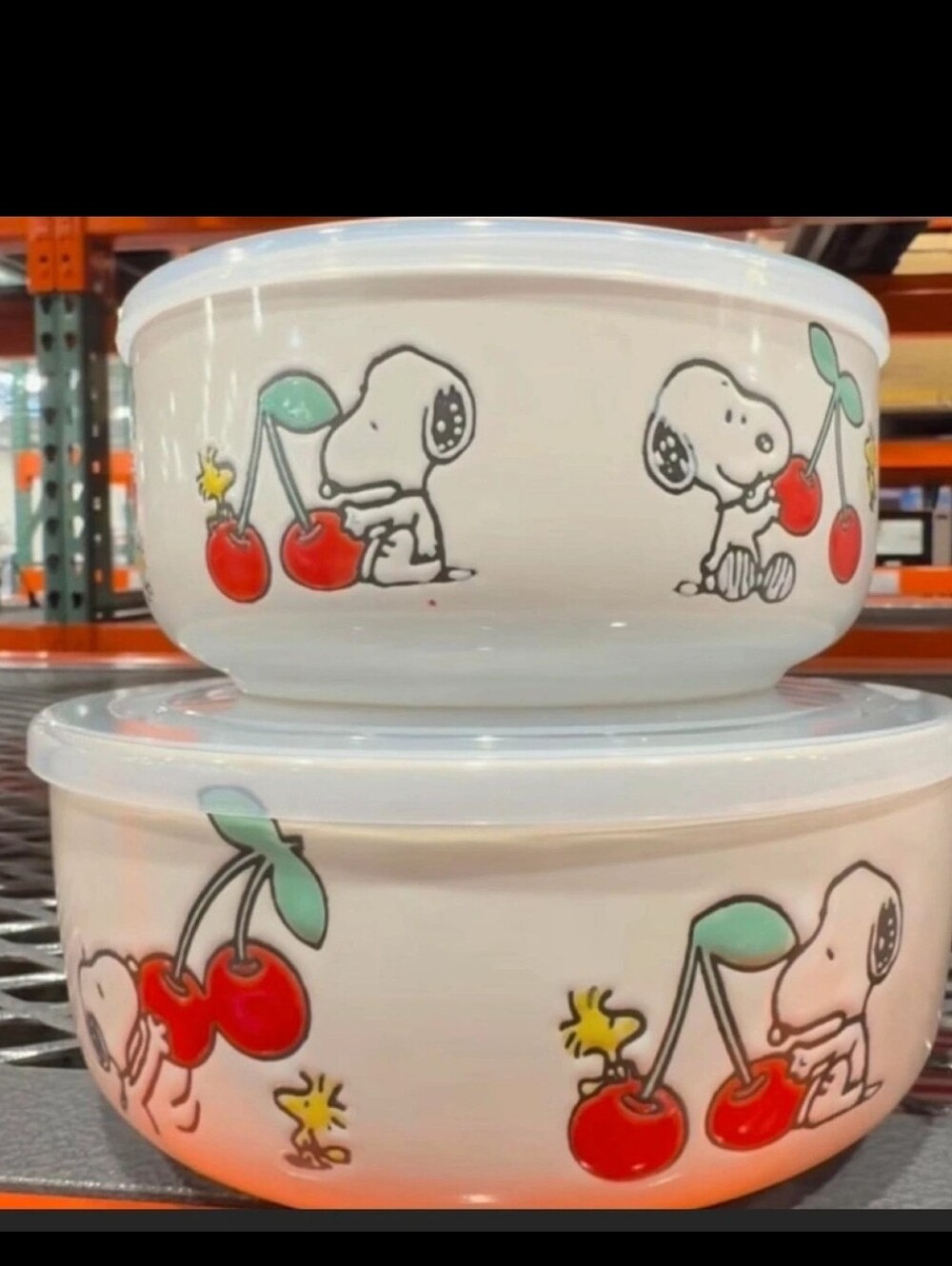 Peanuts Snoopy Woodstock Cherry Ceramic Bowls w/ Snap Lids Set of 4